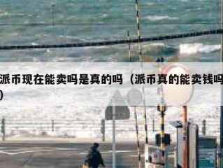 派币现在能卖吗是真的吗（派币真的能卖钱吗）