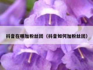 抖音在哪加粉丝团（抖音如何加粉丝团）