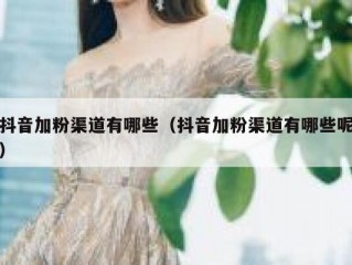 抖音加粉渠道有哪些（抖音加粉渠道有哪些呢）