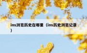 ins浏览历史在哪里（ins历史浏览记录）