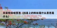 抖音粉丝啥意思（抖音上的粉丝是什么意思是什么）