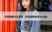 抖音加粉什么意思（抖音加粉丝有什么用）