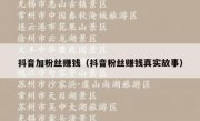 抖音加粉丝赚钱（抖音粉丝赚钱真实故事）