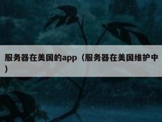 服务器在美国的app（服务器在美国维护中）