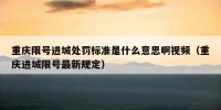 重庆限号进城处罚标准是什么意思啊视频（重庆进城限号最新规定）