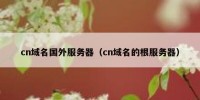 cn域名国外服务器（cn域名的根服务器）