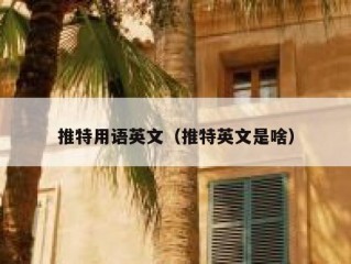 推特用语英文（推特英文是啥）