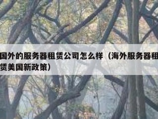 国外的服务器租赁公司怎么样（海外服务器租赁美国新政策）