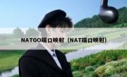 NATGO端口映射（NAT端口映射）