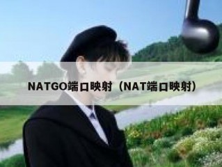 NATGO端口映射（NAT端口映射）