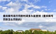 重庆限号出行罚款时间多久能查到（重庆限号罚款怎么罚款的）