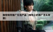 推特如何推广引流产品（推特上的推广怎么收费）