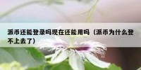 派币还能登录吗现在还能用吗（派币为什么登不上去了）