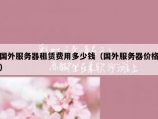 国外服务器租赁费用多少钱（国外服务器价格）