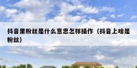 抖音里粉丝是什么意思怎样操作（抖音上啥是粉丝）