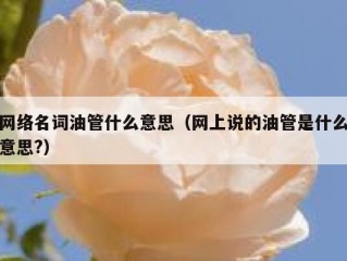 网络名词油管什么意思（网上说的油管是什么意思?）