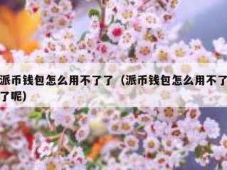 派币钱包怎么用不了了（派币钱包怎么用不了了呢）