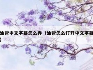 油管中文字幕怎么弄（油管怎么打开中文字幕）