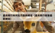 重庆限行如何处罚最新规定（重庆限行政策最新规定）