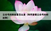 公众号的粉丝量怎么查（如何查看公众号的粉丝数）