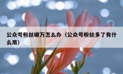 公众号粉丝破万怎么办（公众号粉丝多了有什么用）
