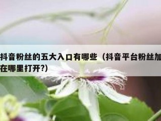 抖音粉丝的五大入口有哪些（抖音平台粉丝加在哪里打开?）