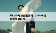 tiktok培训割韭菜吗（tiktok培训割韭菜吗?）