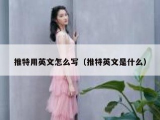 推特用英文怎么写（推特英文是什么）