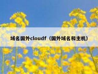 域名国外cloudf（国外域名和主机）