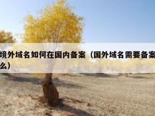 境外域名如何在国内备案（国外域名需要备案么）
