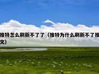 推特怎么刷新不了了（推特为什么刷新不了推文）