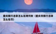 重庆限行违章怎么处理罚款（重庆市限行违章怎么处罚）