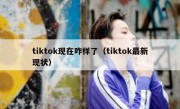 tiktok现在咋样了（tiktok最新现状）