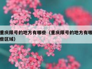 重庆限号的地方有哪些（重庆限号的地方有哪些区域）