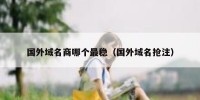 国外域名商哪个最稳（国外域名抢注）