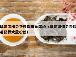 抖音怎样免费获得粉丝等级（抖音如何免费快速获得大量粉丝）