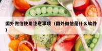 国外微信使用注意事项（国外微信是什么软件）