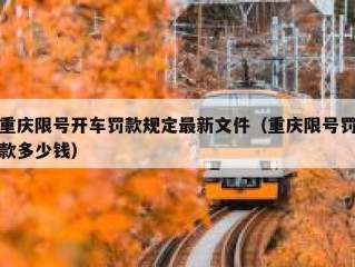 重庆限号开车罚款规定最新文件（重庆限号罚款多少钱）