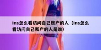 ins怎么看访问自己账户的人（ins怎么看访问自己账户的人是谁）
