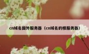 cn域名国外服务器（cn域名的根服务器）