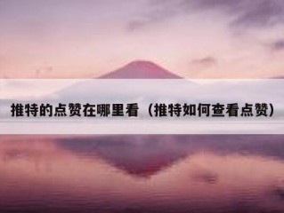 推特的点赞在哪里看（推特如何查看点赞）