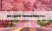 推特上面有啥（推特里面到底有什么）