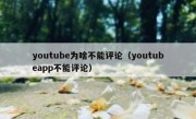 youtube为啥不能评论（youtubeapp不能评论）
