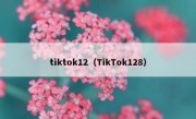 tiktok12（TikTok128）