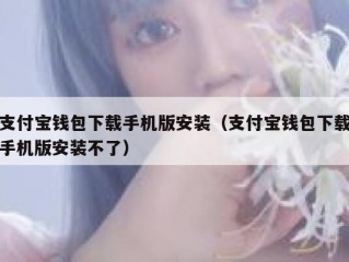 支付宝钱包下载手机版安装（支付宝钱包下载手机版安装不了）