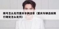 限号怎么处罚重庆车辆违章（重庆车辆违反限行规定怎么处罚）