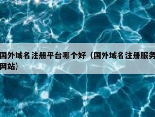 国外域名注册平台哪个好（国外域名注册服务网站）