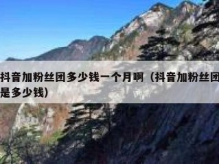抖音加粉丝团多少钱一个月啊（抖音加粉丝团是多少钱）