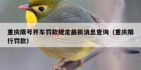 重庆限号开车罚款规定最新消息查询（重庆限行罚款）