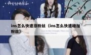 ins怎么快速涨粉丝（ins怎么快速增加粉丝）